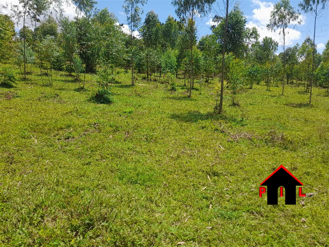 Commercial Land for sale in Namugongo Wakiso