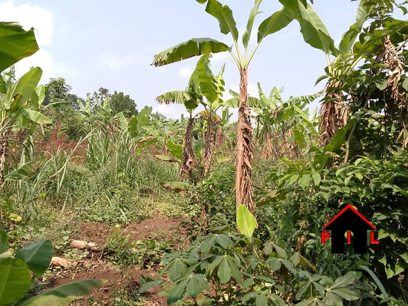 Residential Land for sale in Kapeeka Nakaseke