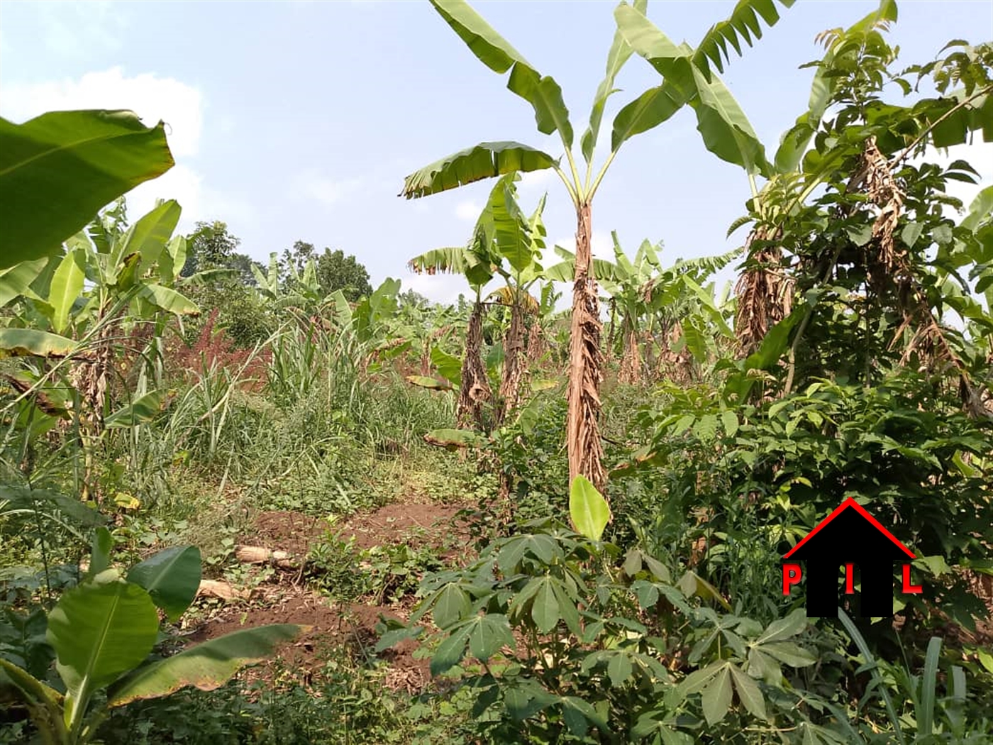 Residential Land for sale in Kapeeka Nakaseke