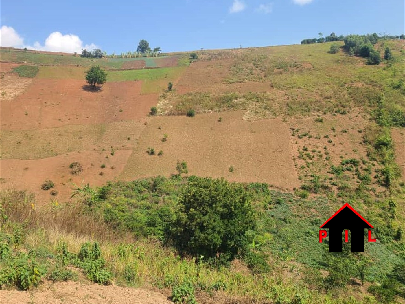 Agricultural Land for sale in Rwamparaa Mbarara