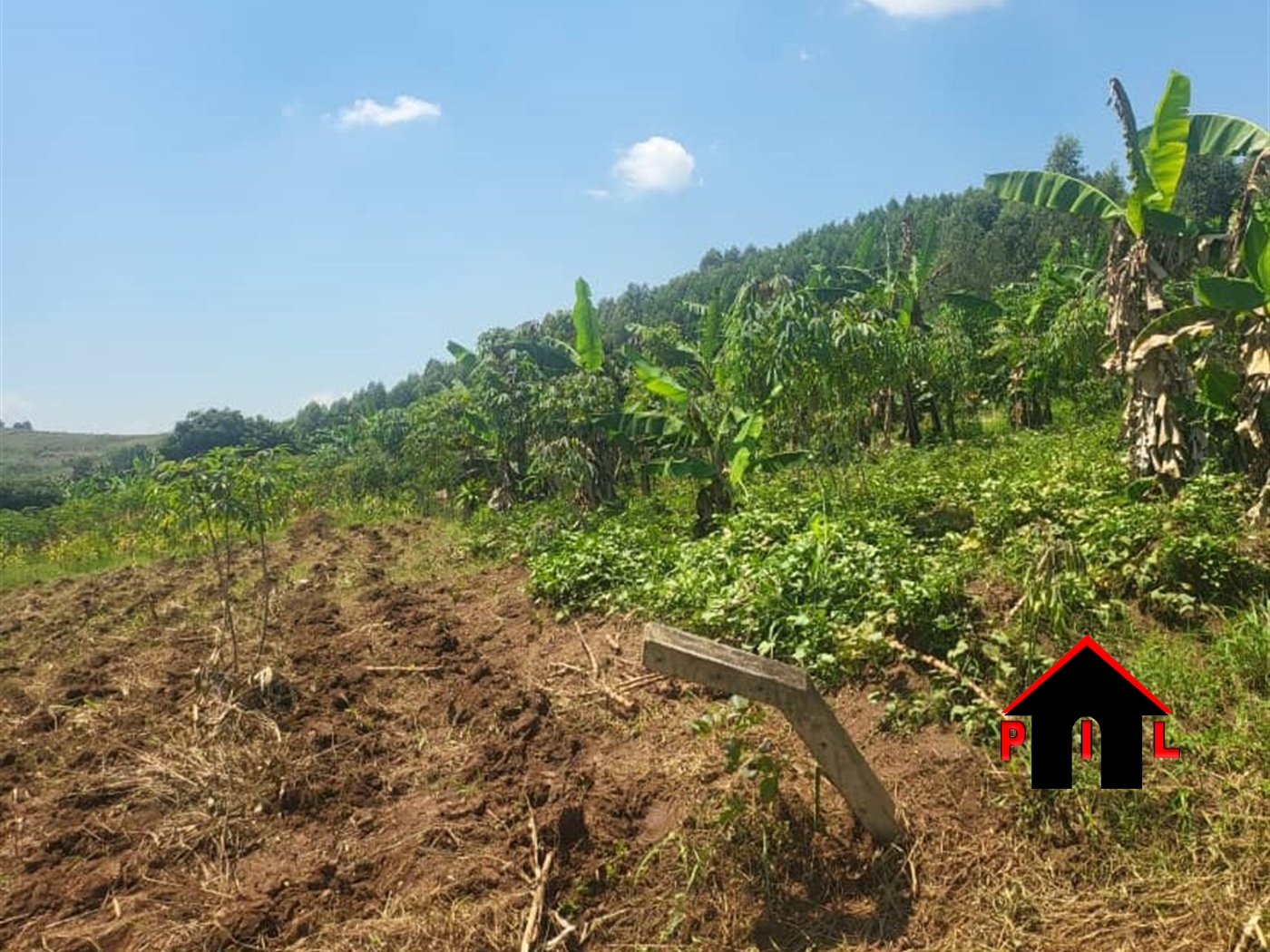 Agricultural Land for sale in Kasandatwn Kasanda