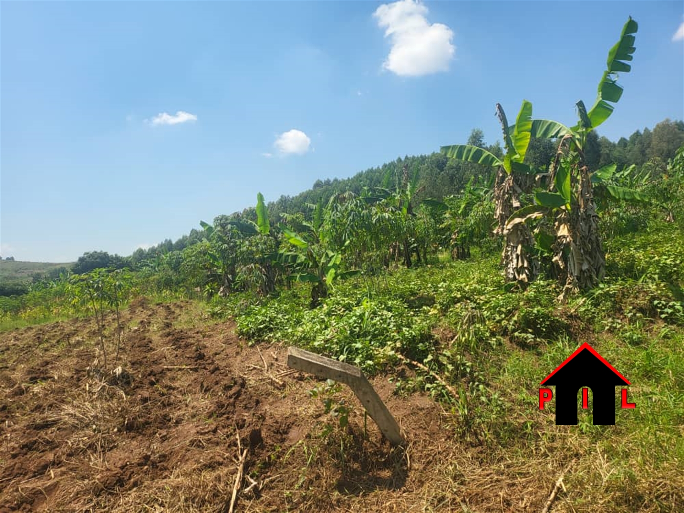 Agricultural Land for sale in Kasandatwn Kasanda