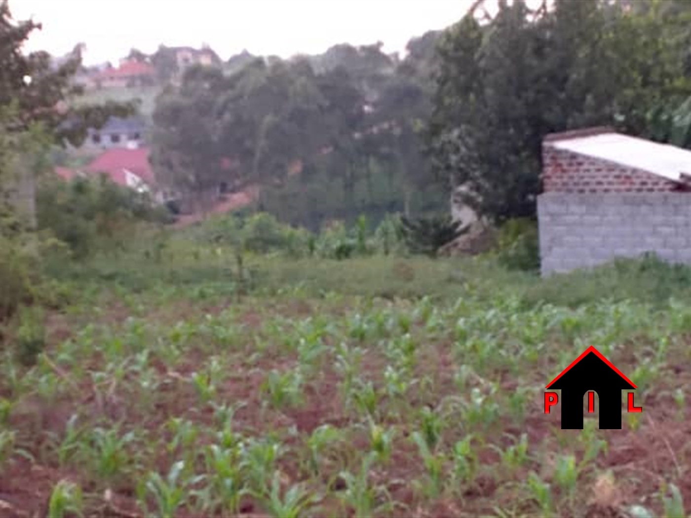 Residential Land for sale in Namugongo Wakiso