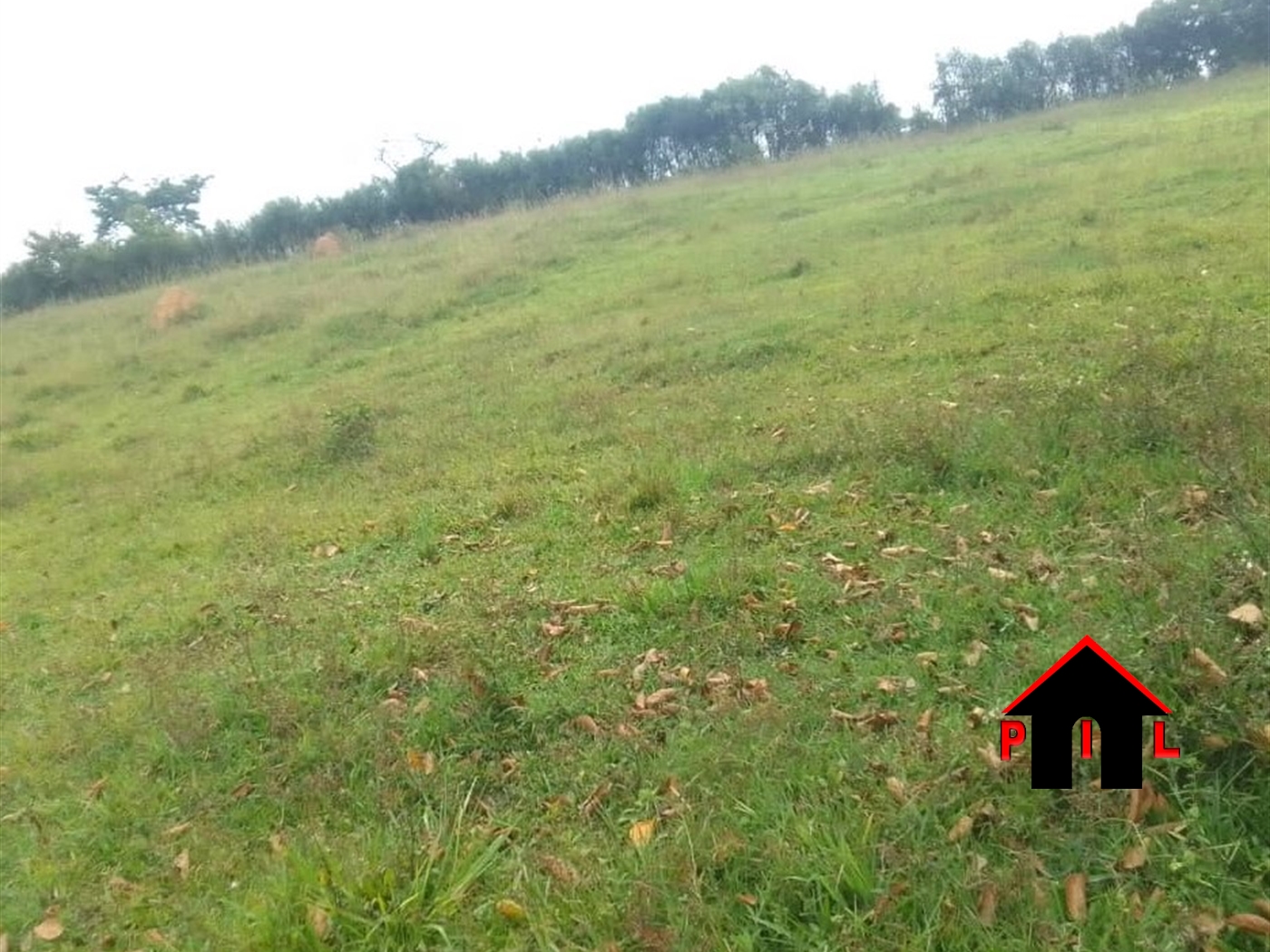 Agricultural Land for sale in Kiboga Kiboga