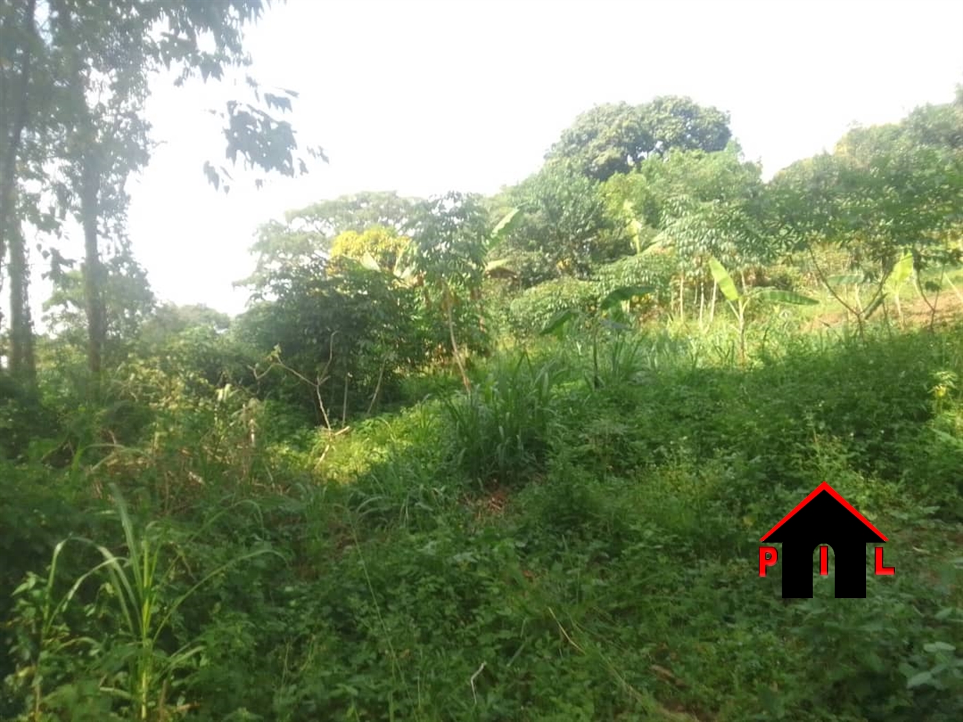 Agricultural Land for sale in Kiboga Kiboga