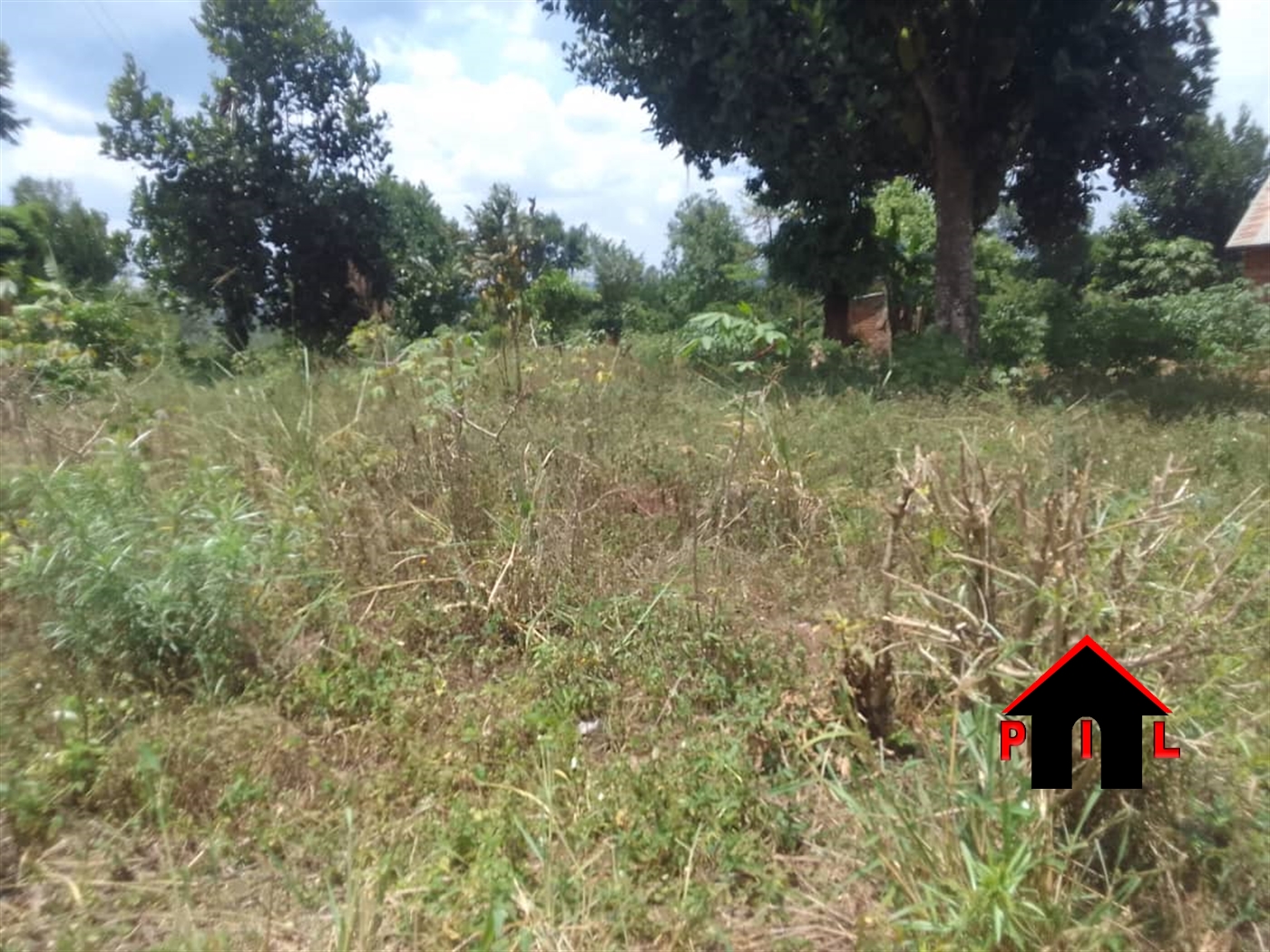 Agricultural Land for sale in Kiboga Kiboga