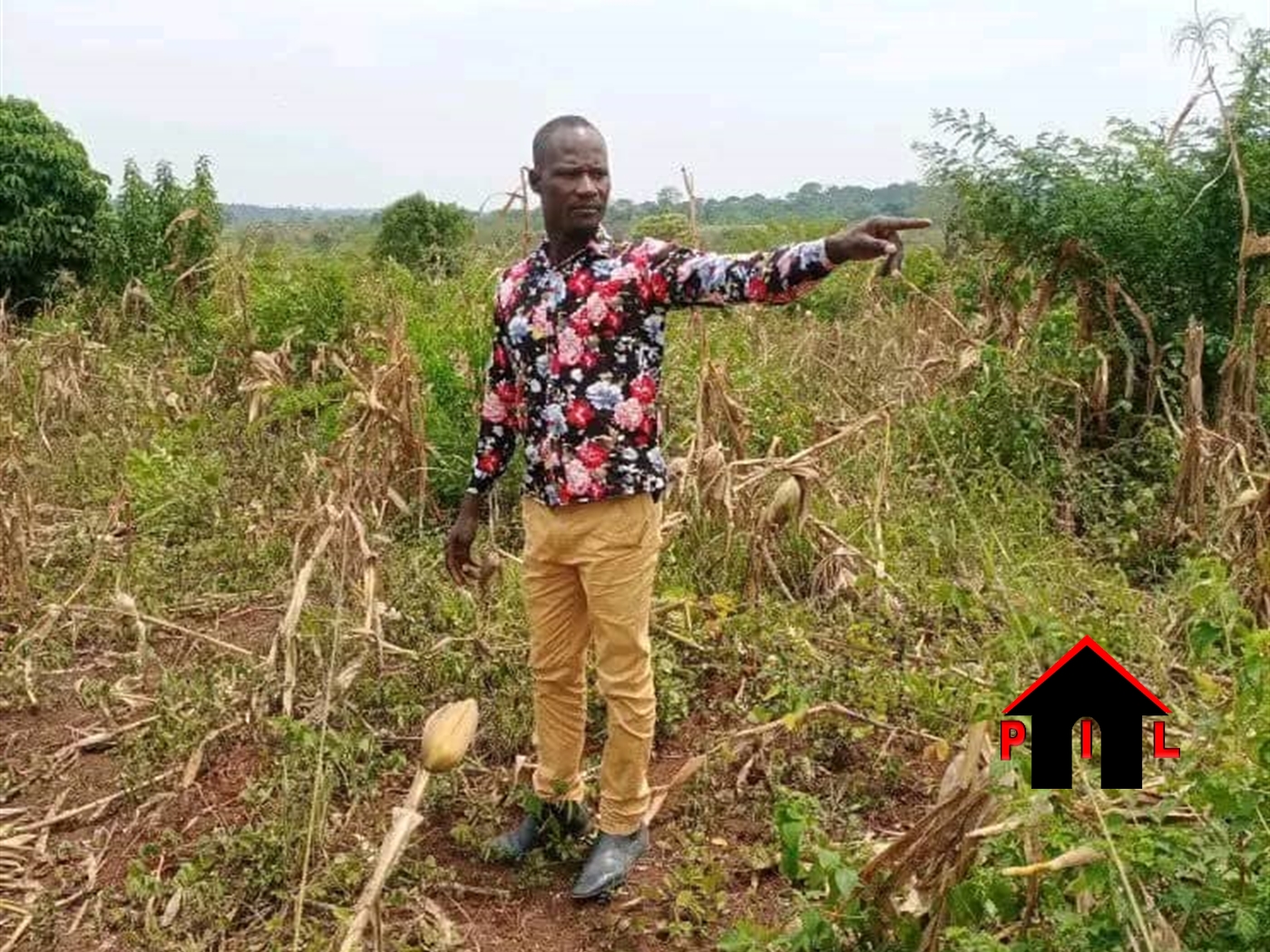 Agricultural Land for sale in Zirobwee Luweero