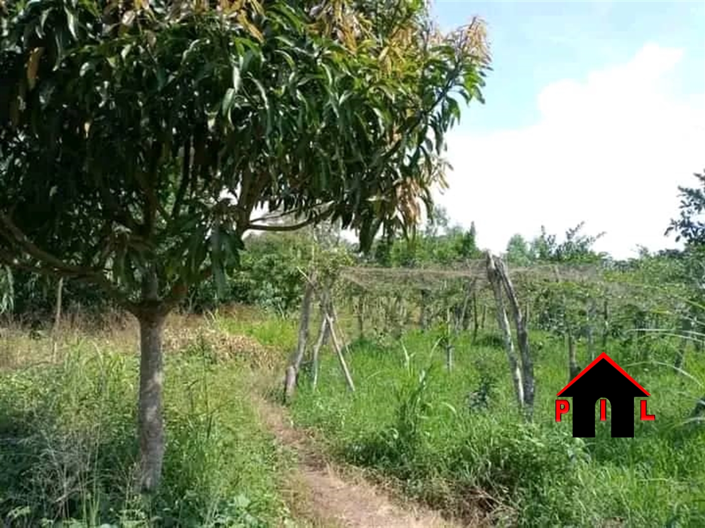 Agricultural Land for sale in Kikyuusa Luweero