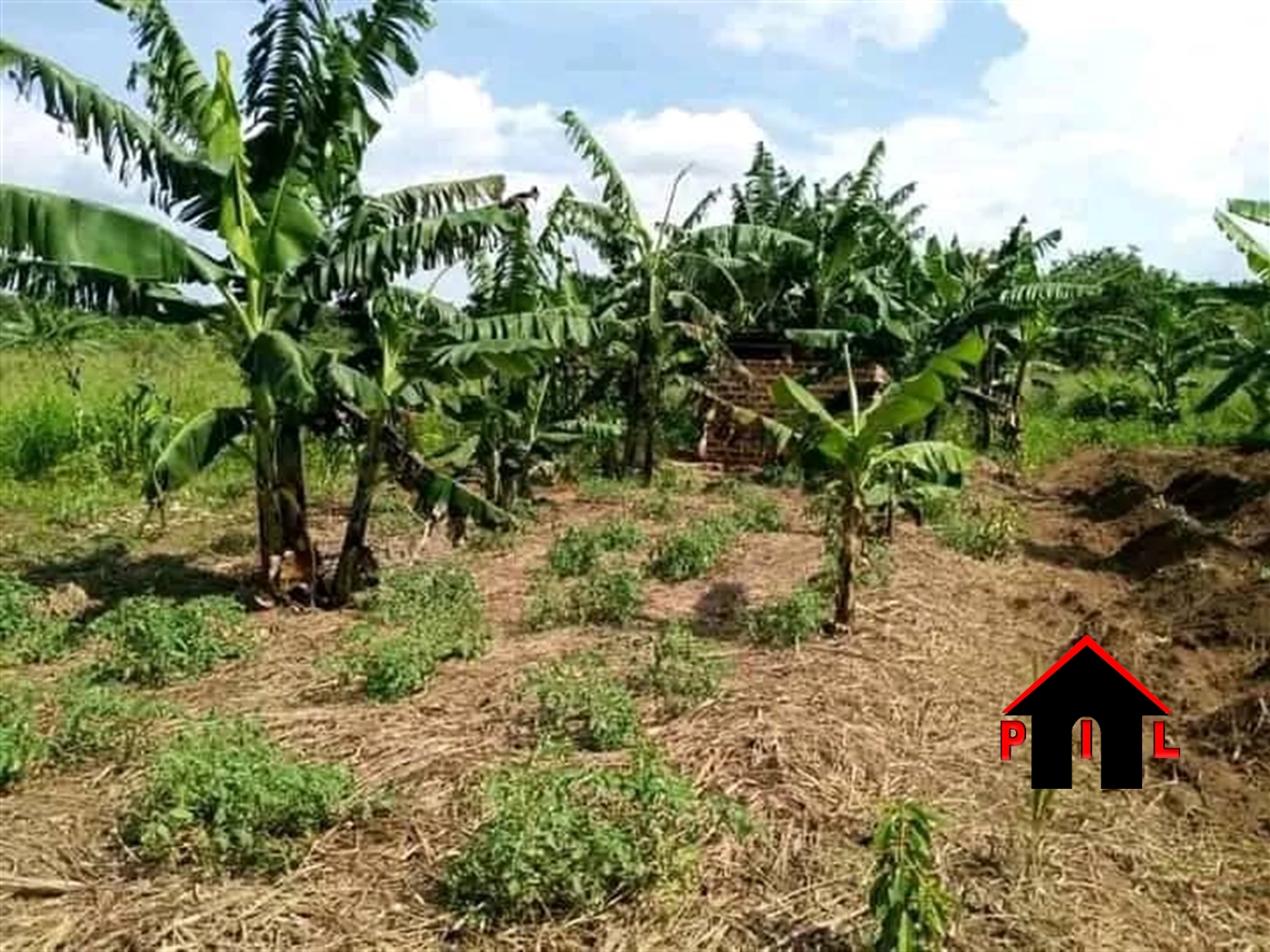 Agricultural Land for sale in Kikyuusa Luweero