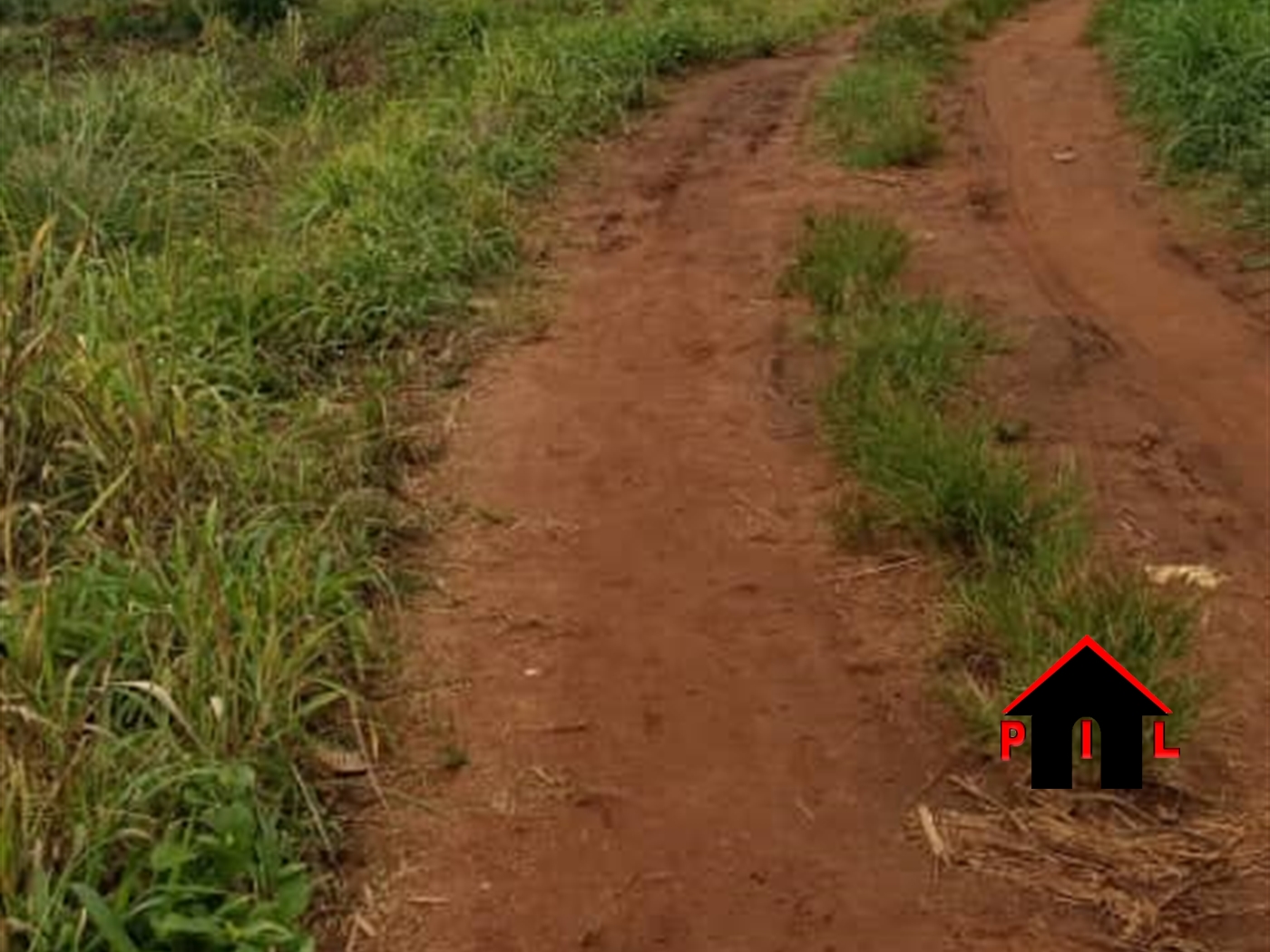 Agricultural Land for sale in Butalangu Nakaseke