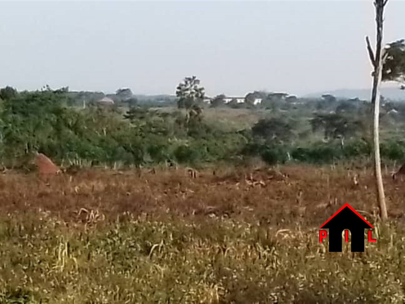 Agricultural Land for sale in Butalangu Nakaseke