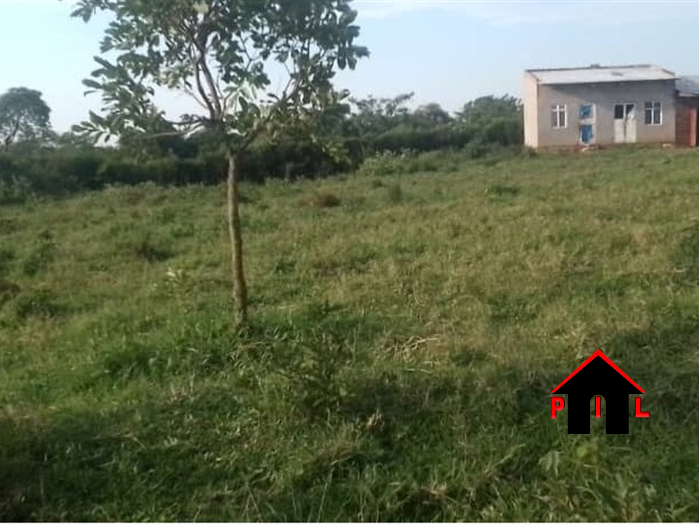 Agricultural Land for sale in Butalangu Nakaseke