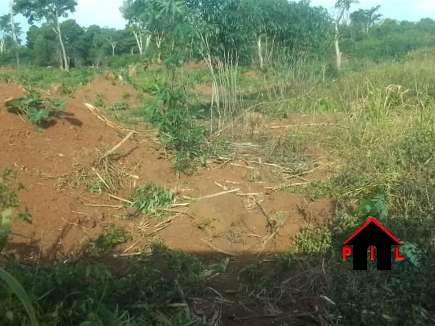 Agricultural Land for sale in Butalangu Nakaseke