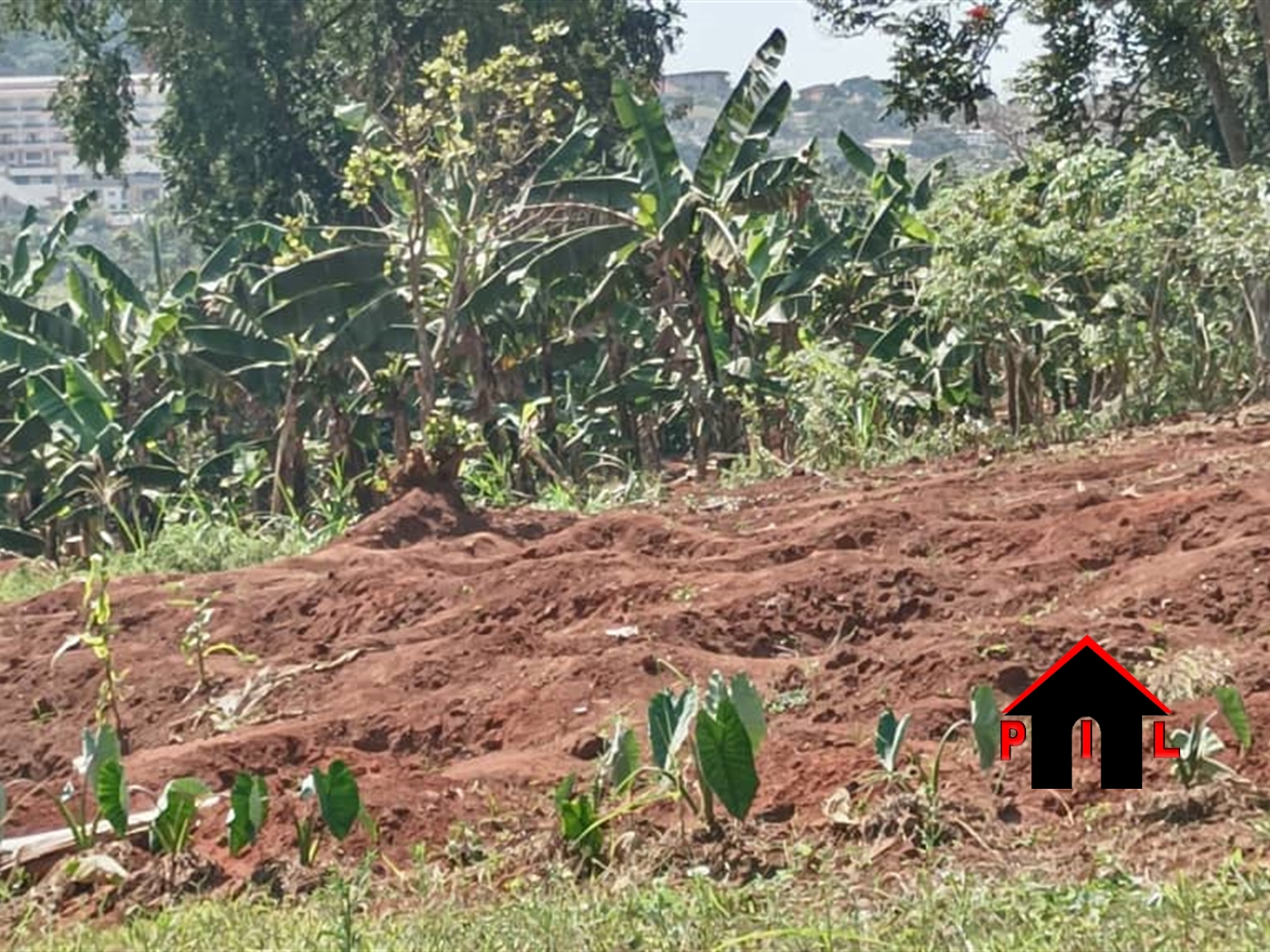 Commercial Land for sale in Bwebajja Wakiso