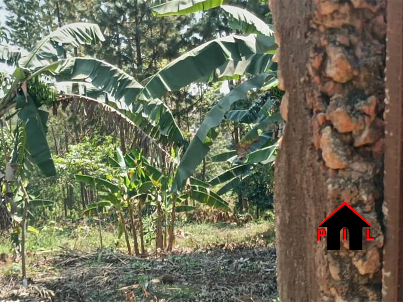 Commercial Land for sale in Bwebajja Wakiso