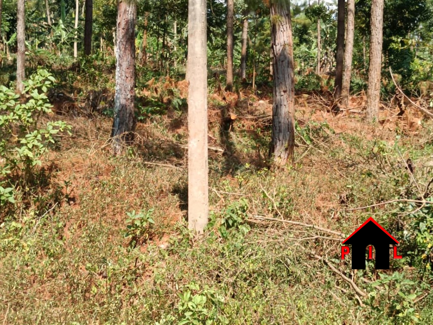 Commercial Land for sale in Bwebajja Wakiso