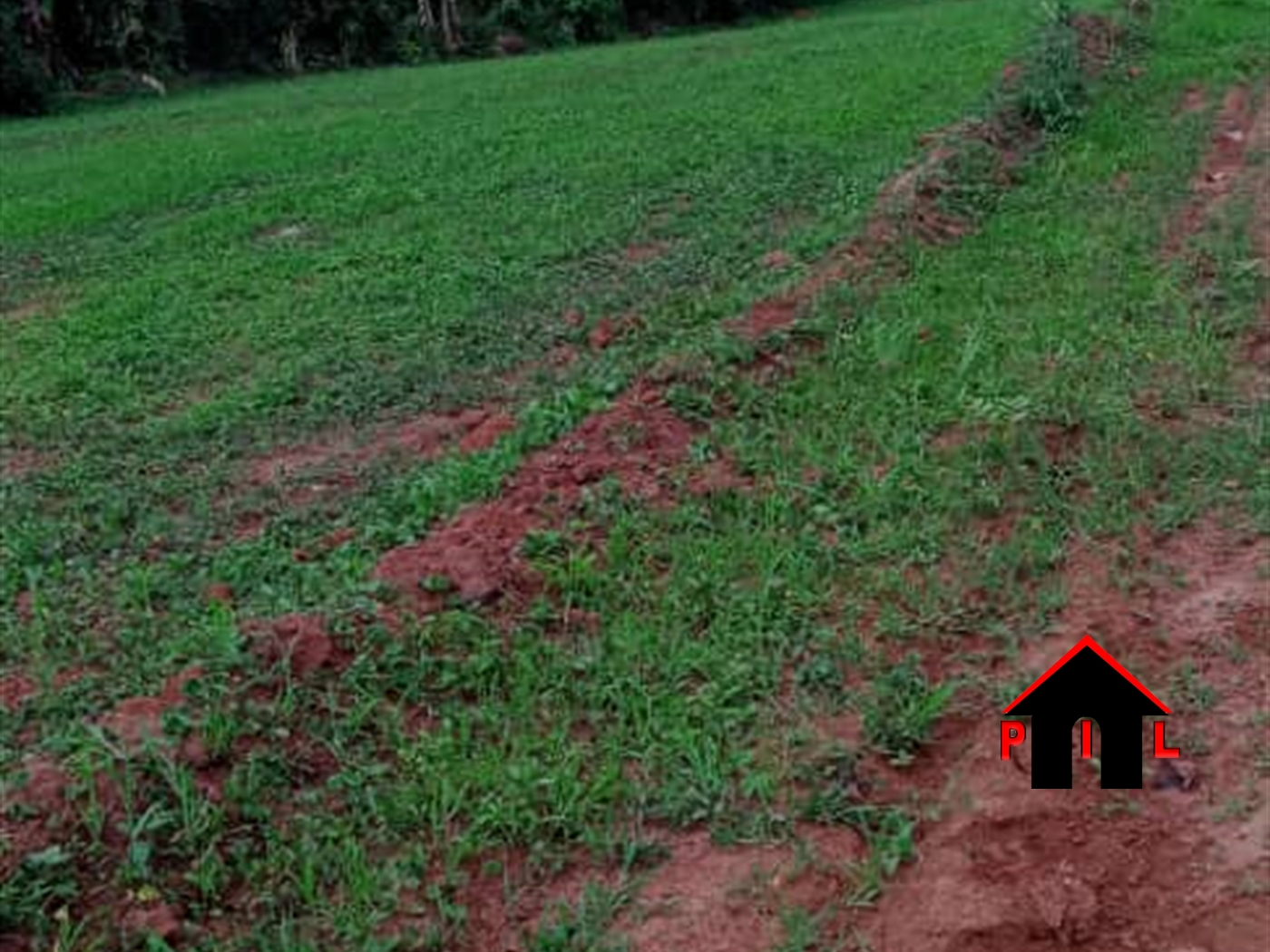 Residential Land for sale in Nakasajjaa Mukono