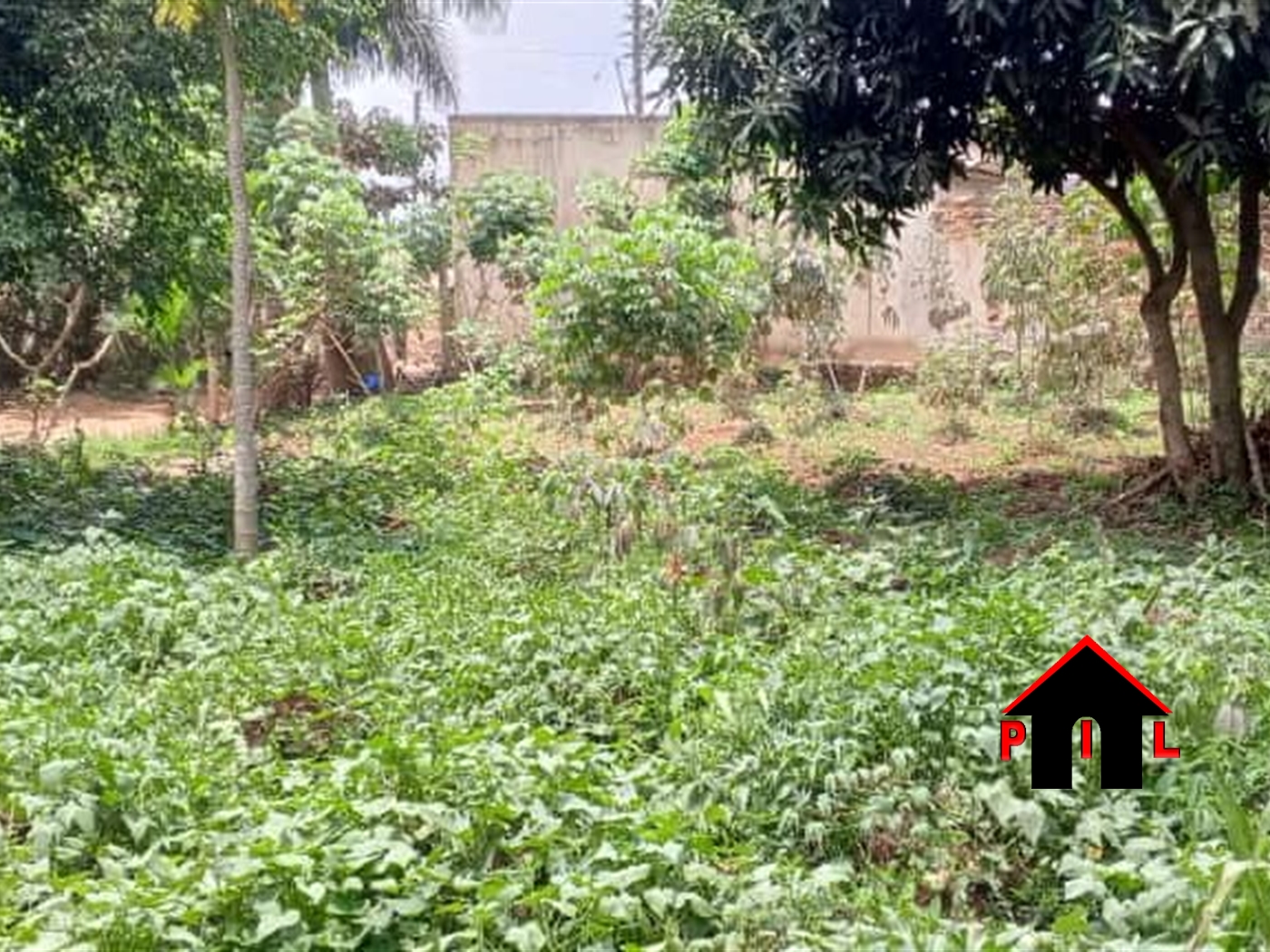 Residential Land for sale in Kasangati Wakiso