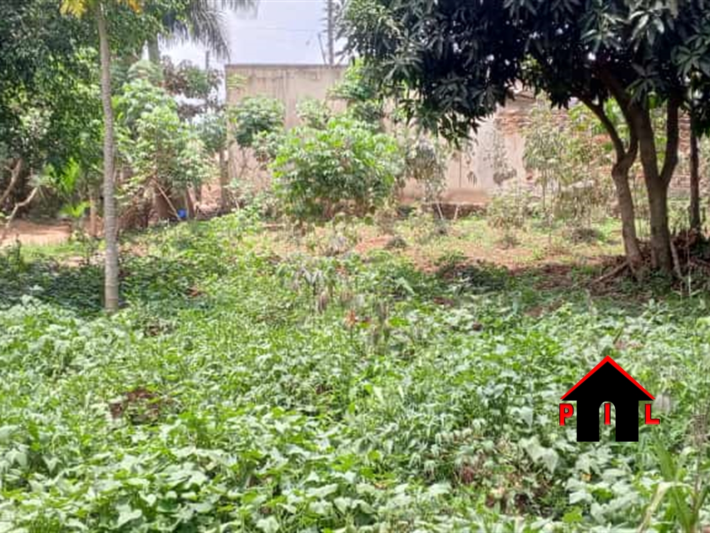 Residential Land for sale in Kasangati Wakiso