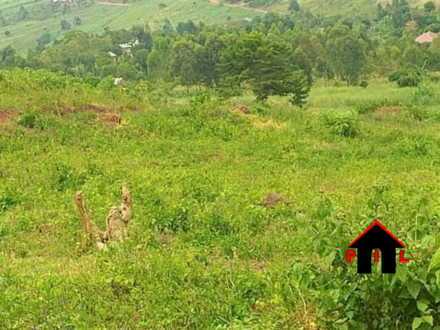 Residential Land for sale in Namataba Mukono