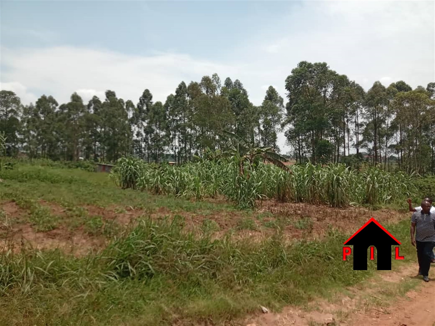 Commercial Land for sale in Kira Wakiso