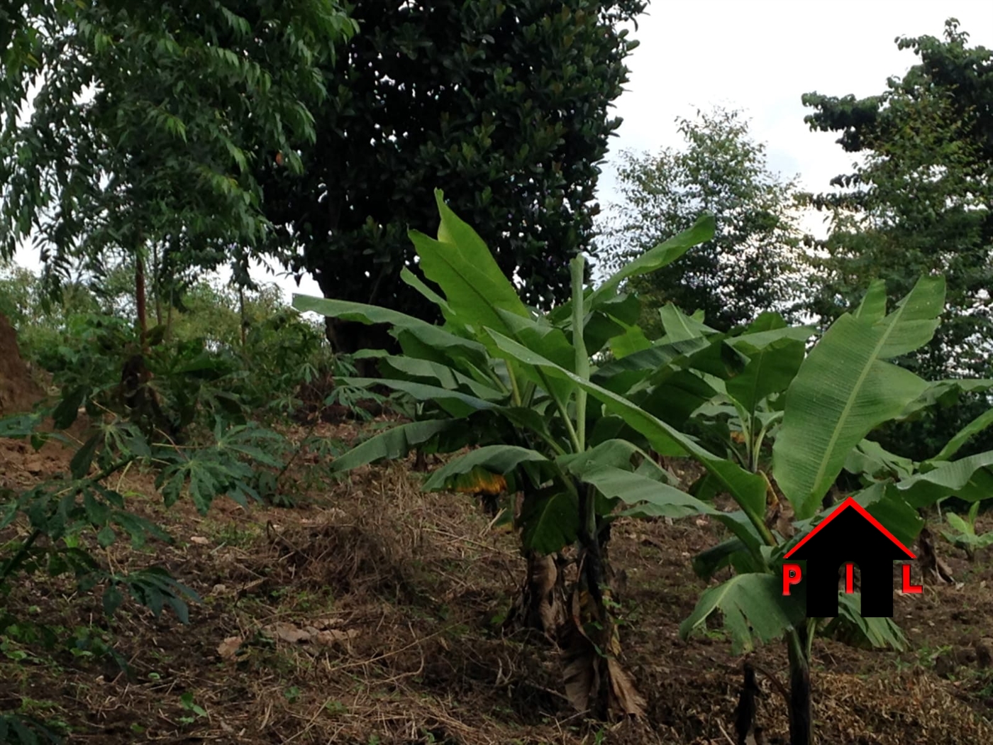 Residential Land for sale in Kaluungu Wakiso