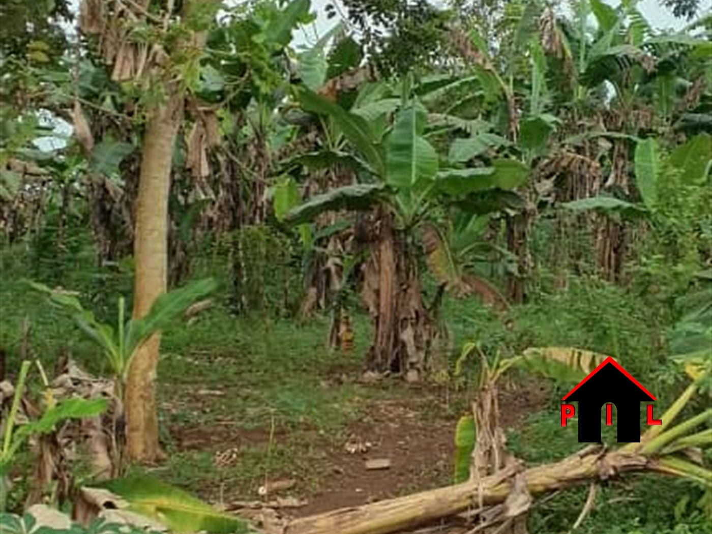 Commercial Land for sale in Mukonotwn Mukono