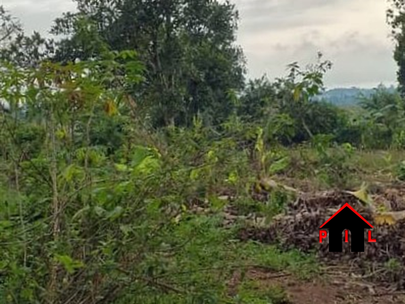 Commercial Land for sale in Mukonotwn Mukono