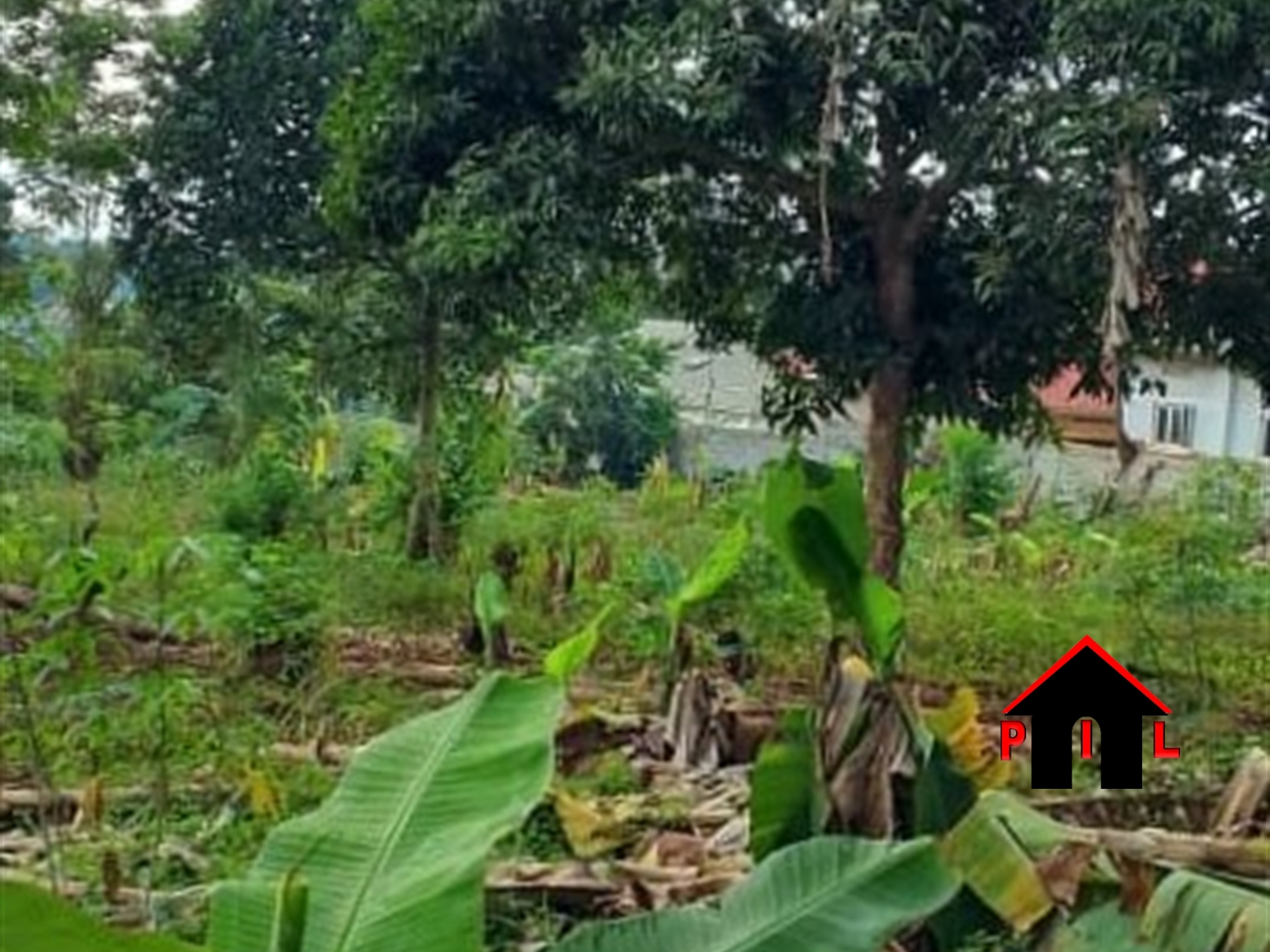 Commercial Land for sale in Mukonotwn Mukono