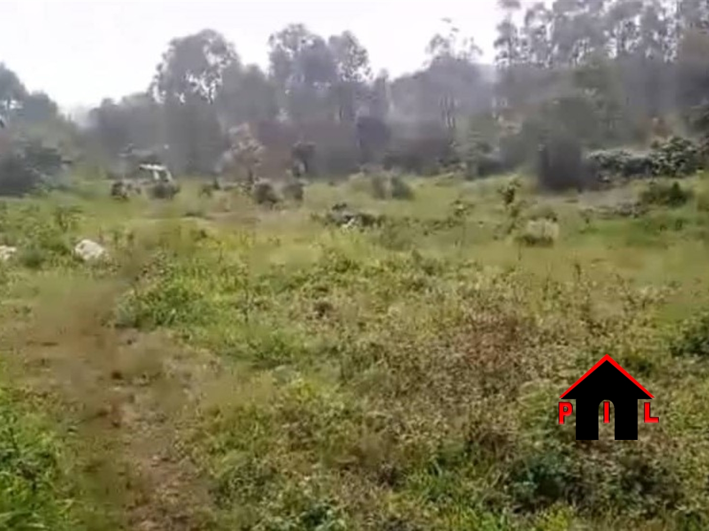 Agricultural Land for sale in Kikonge Mityana