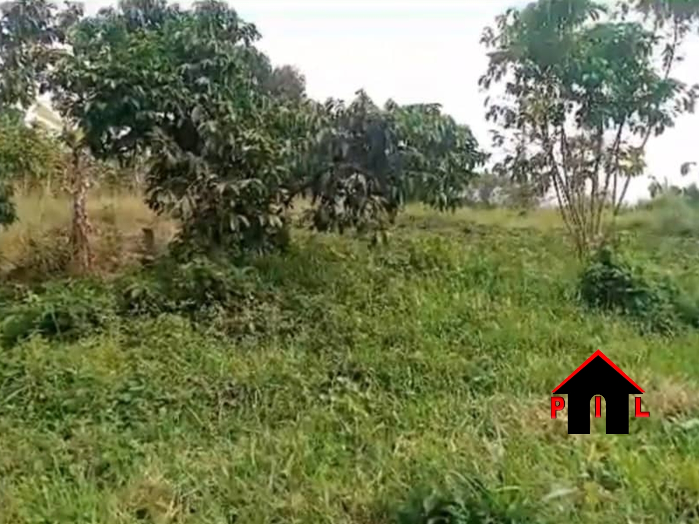 Agricultural Land for sale in Kikonge Mityana