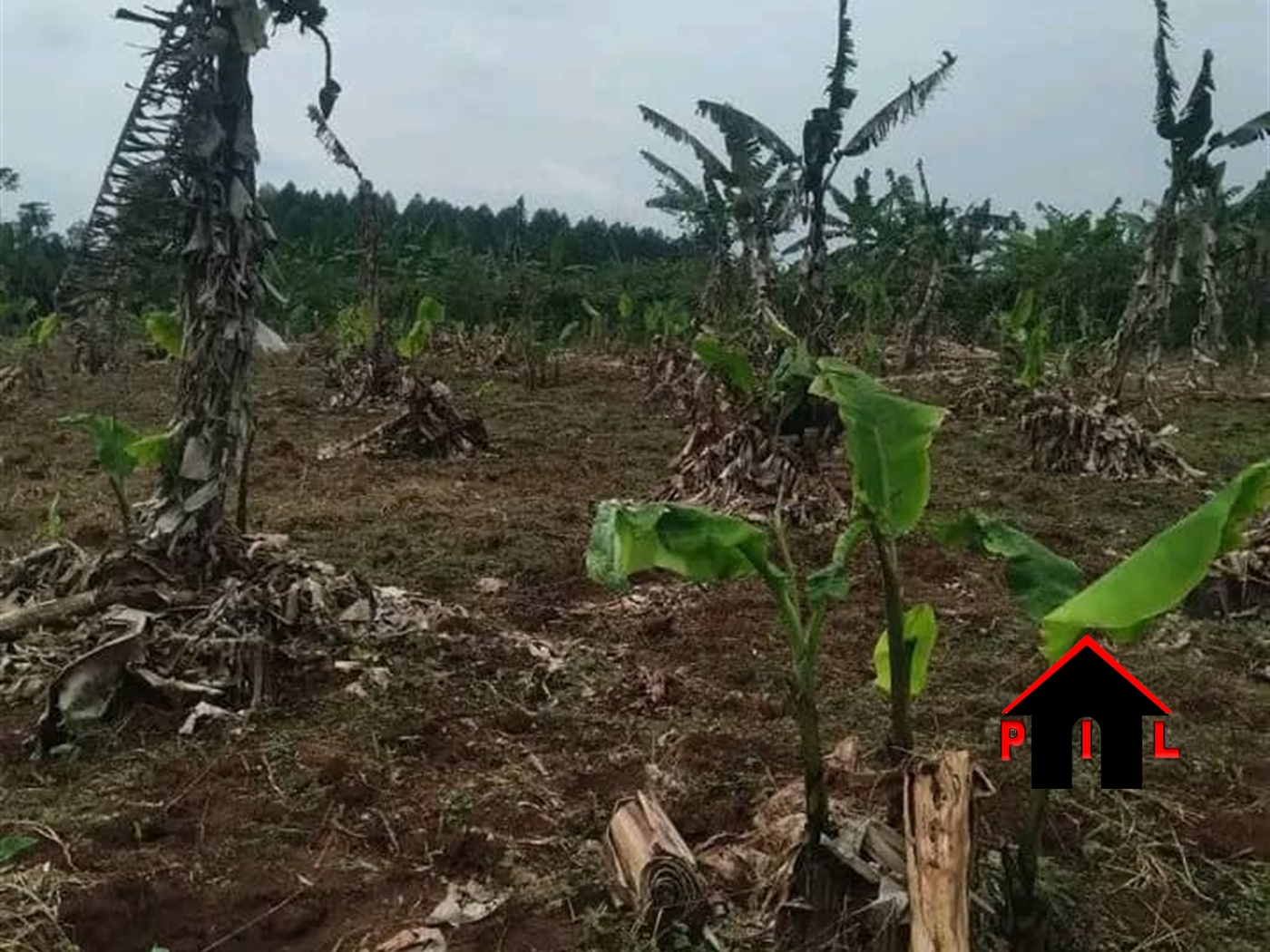 Residential Land for sale in Kakiri Wakiso