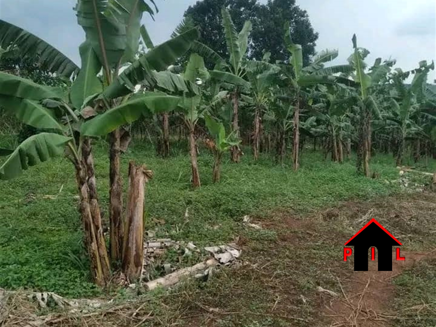 Residential Land for sale in Kakiri Wakiso