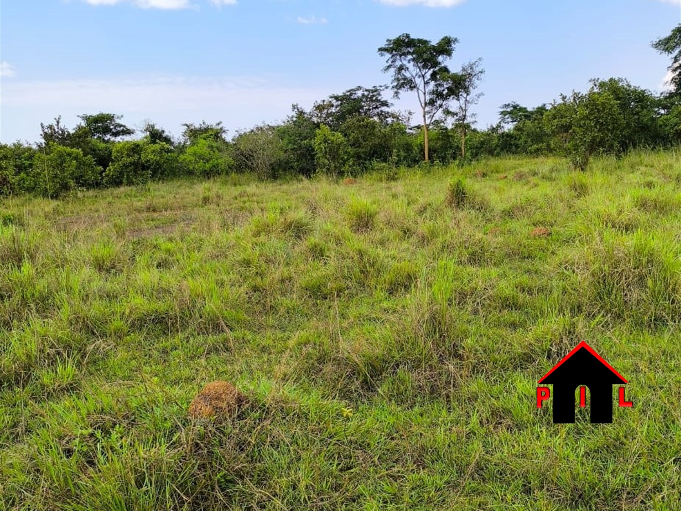 Commercial Land for sale in Lwamagali Kyankwazi