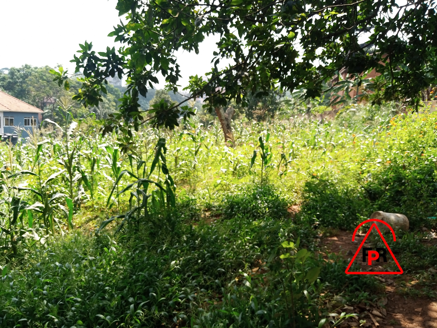 Residential Land for sale in Kololo Kampala