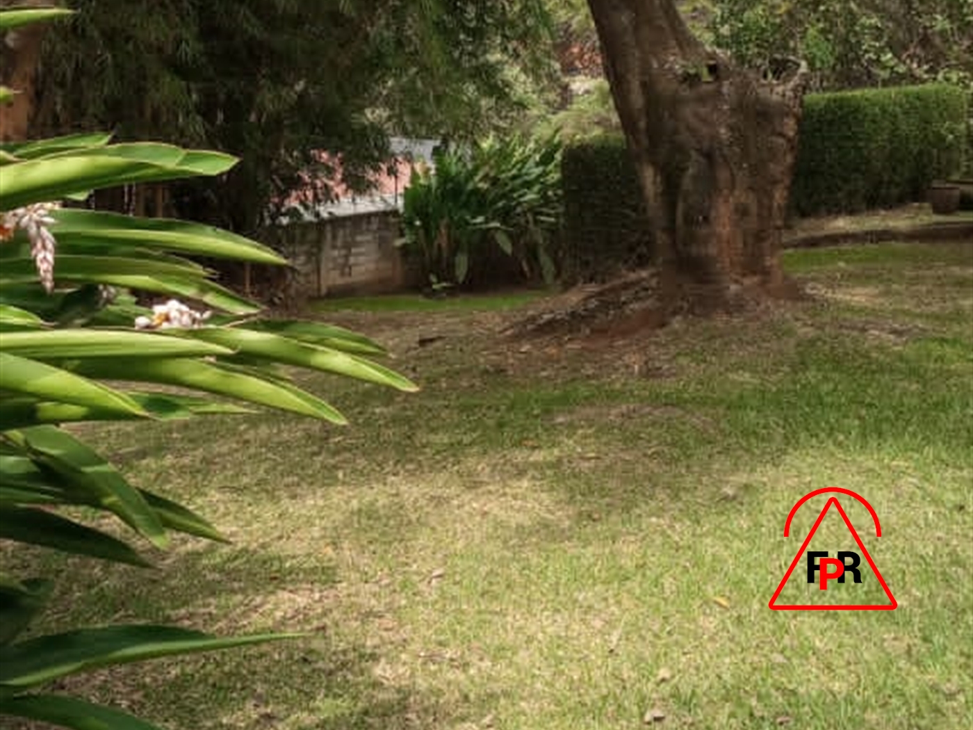 Bungalow for rent in Kololo Kampala