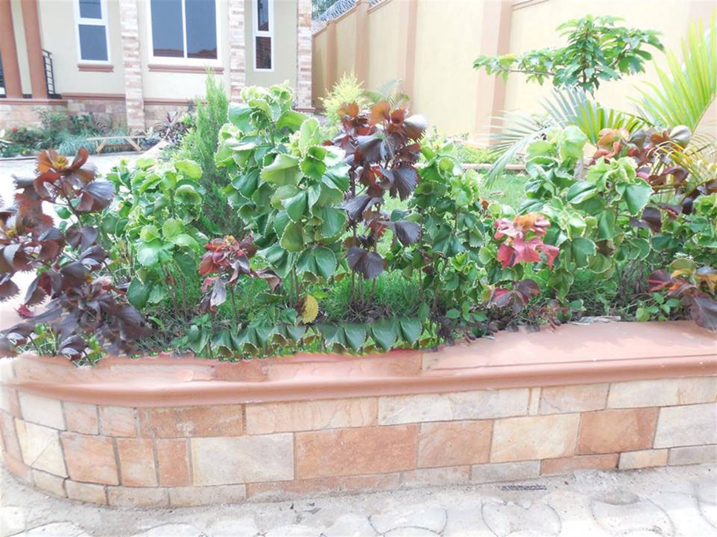 Bungalow for sale in Kira Wakiso