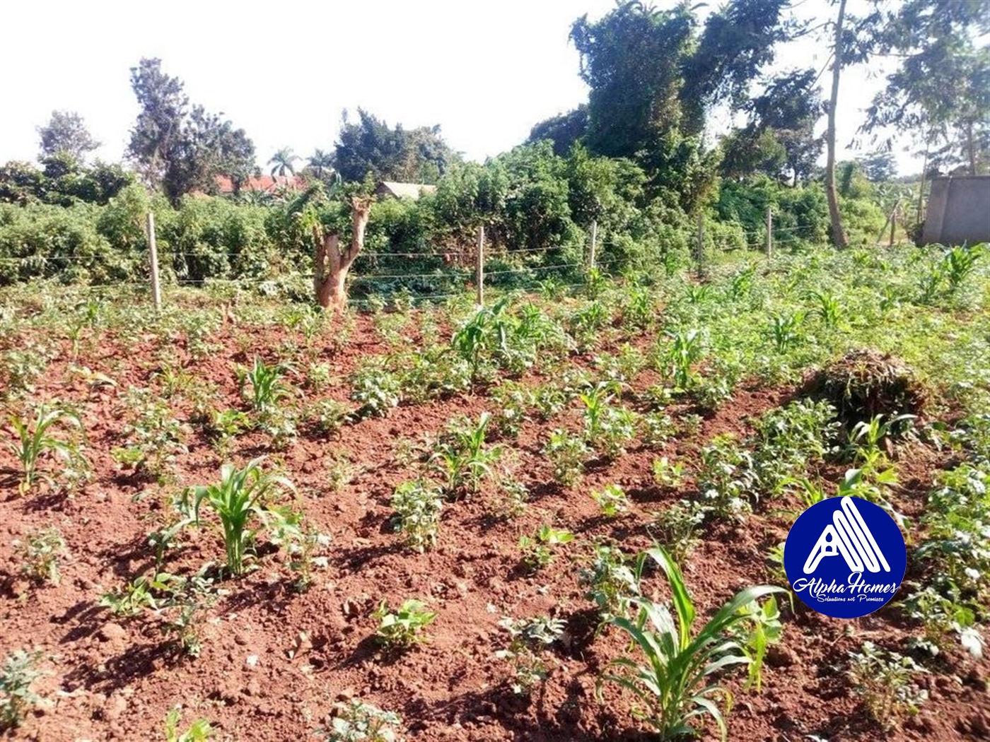 Residential Land for sale in Kira Wakiso