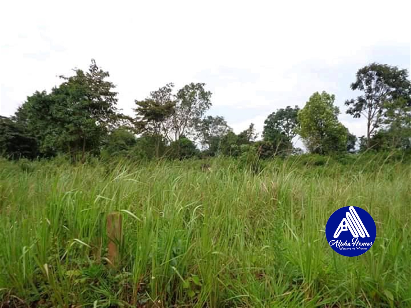 Residential Land for sale in Kira Wakiso