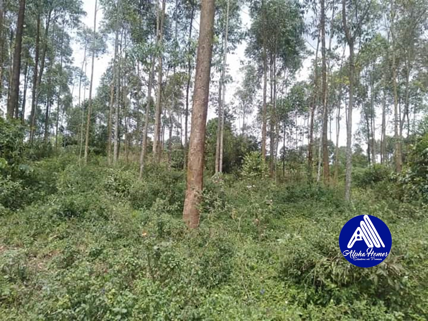 Agricultural Land for sale in Nakawuka Wakiso