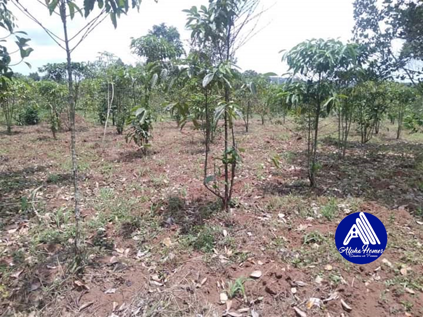 Agricultural Land for sale in Nakawuka Wakiso