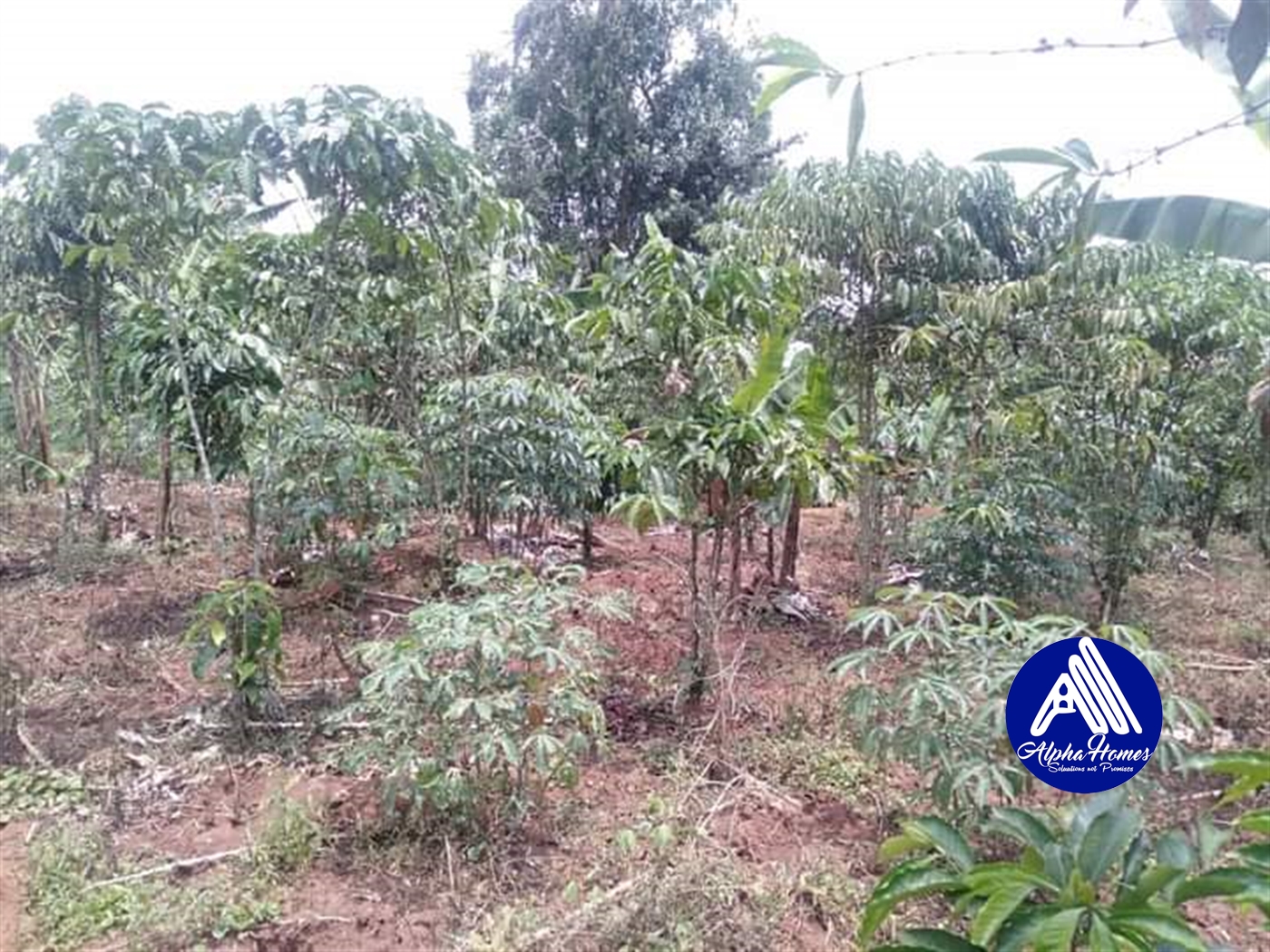 Agricultural Land for sale in Nakawuka Wakiso