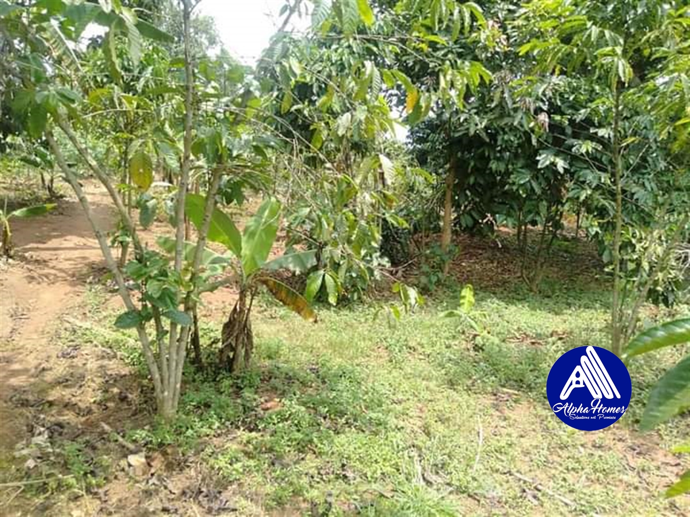 Agricultural Land for sale in Nakawuka Wakiso