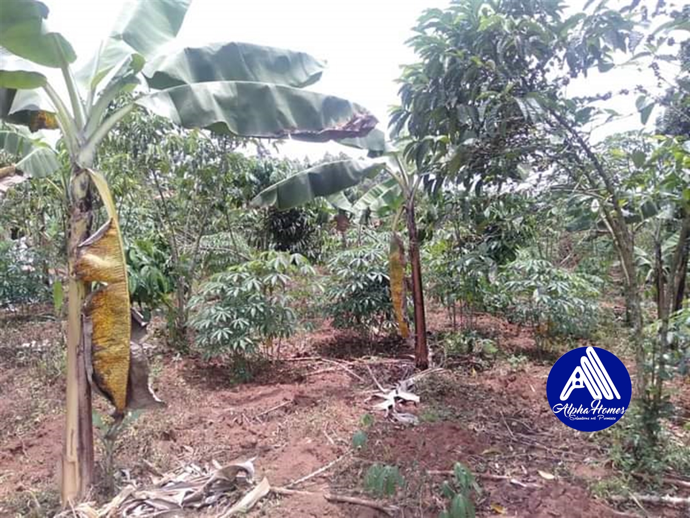 Agricultural Land for sale in Nakawuka Wakiso