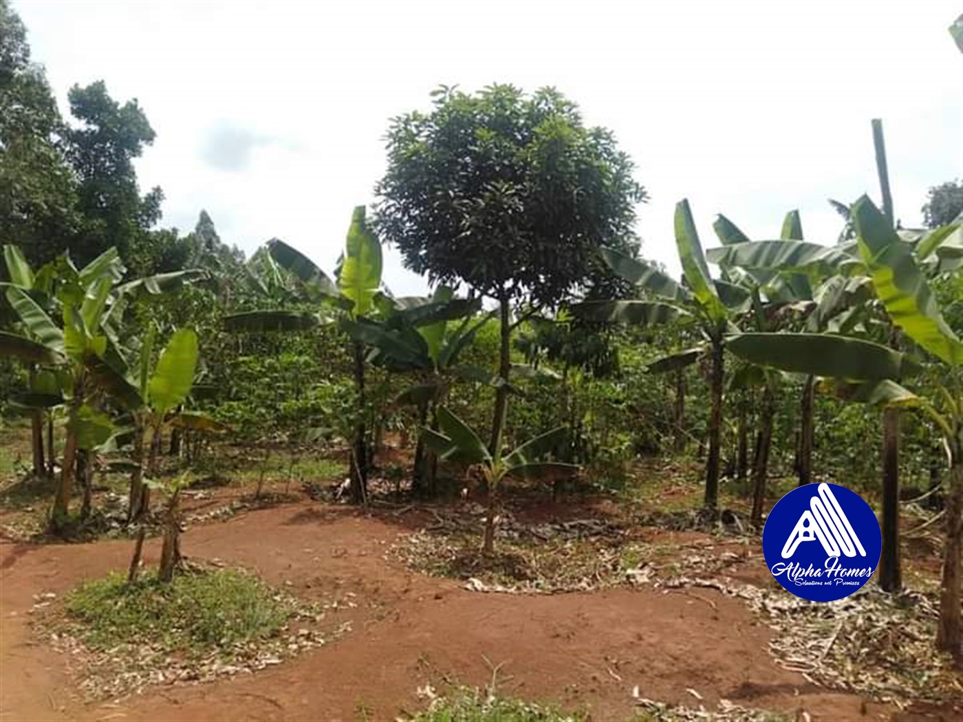 Agricultural Land for sale in Nakawuka Wakiso