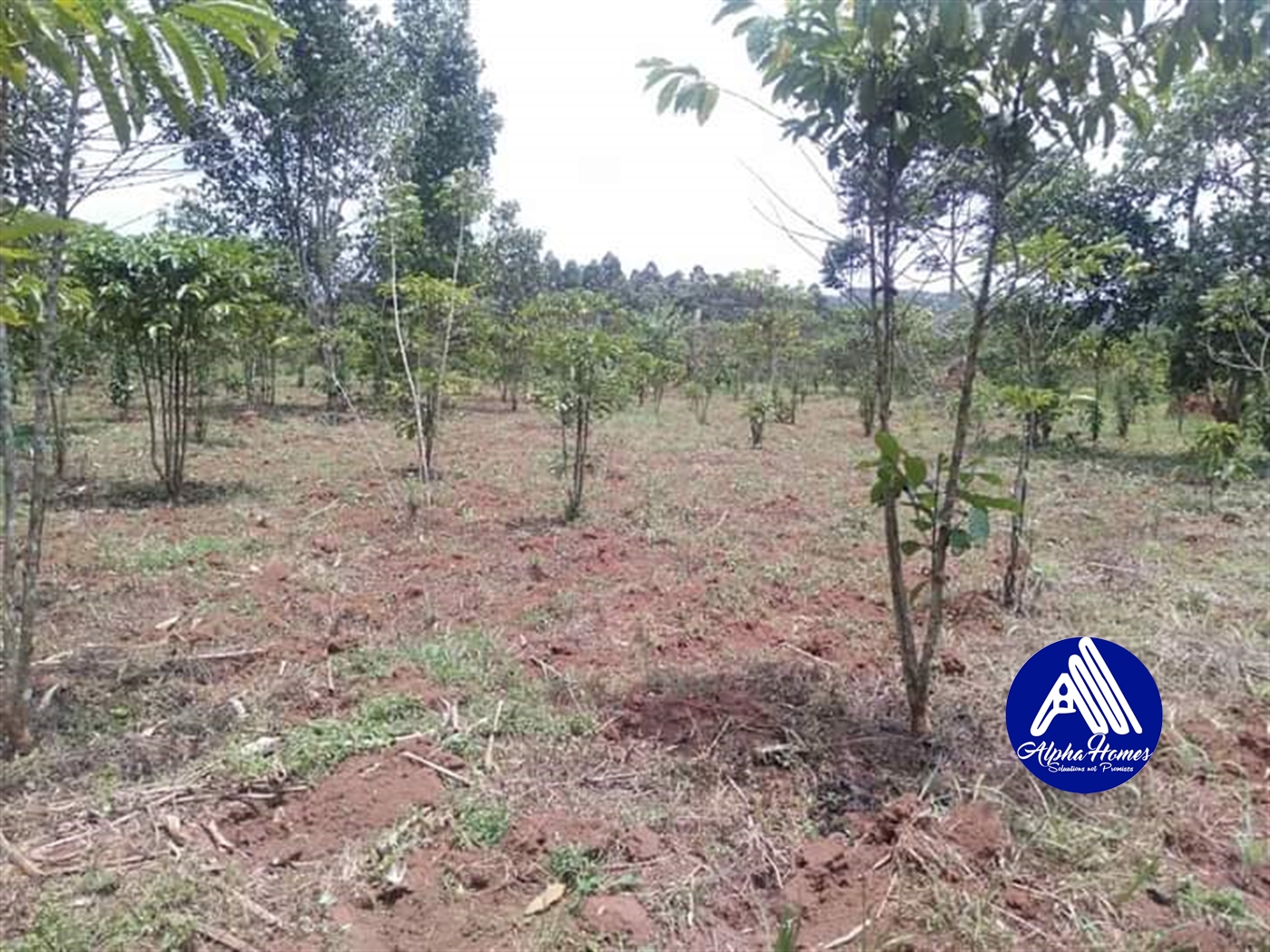 Agricultural Land for sale in Nakawuka Wakiso