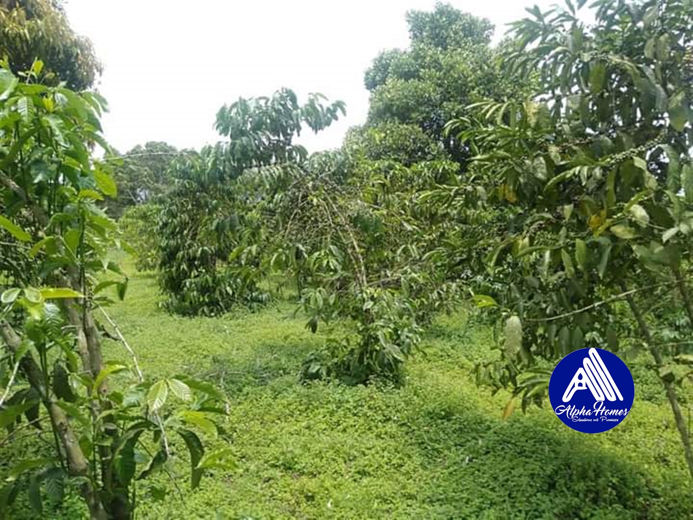 Agricultural Land for sale in Nakawuka Wakiso