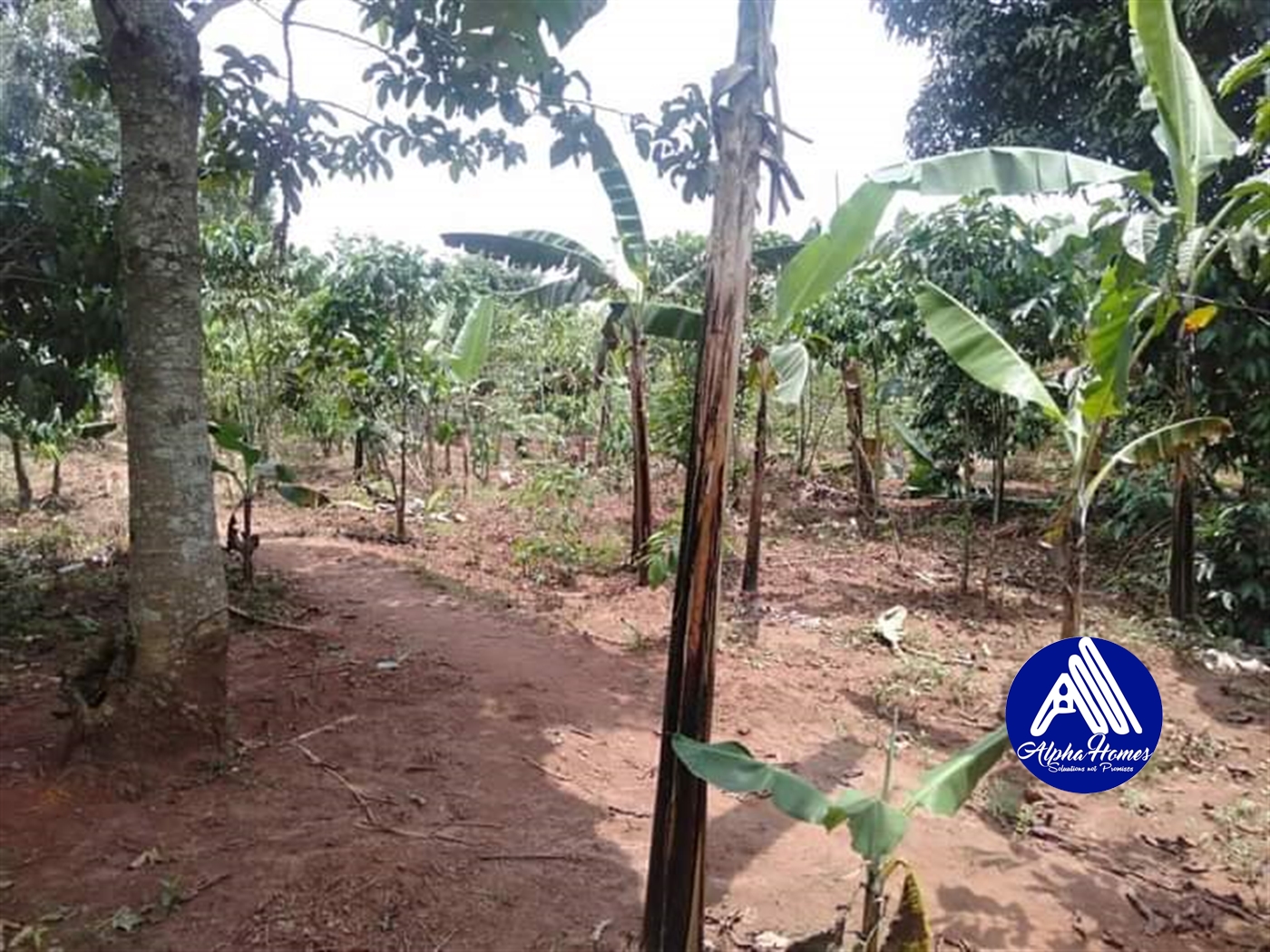 Agricultural Land for sale in Nakawuka Wakiso