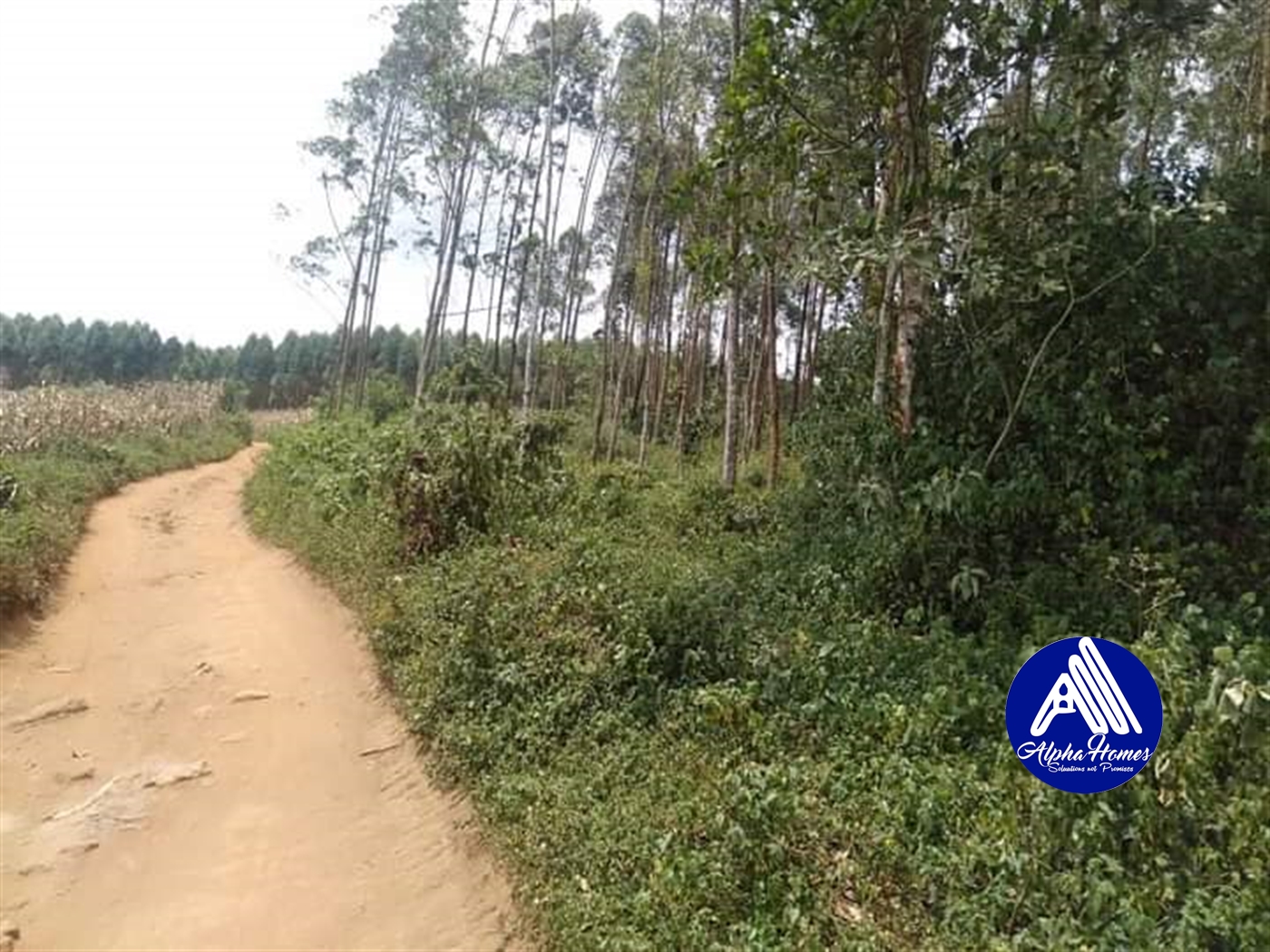 Agricultural Land for sale in Nakawuka Wakiso