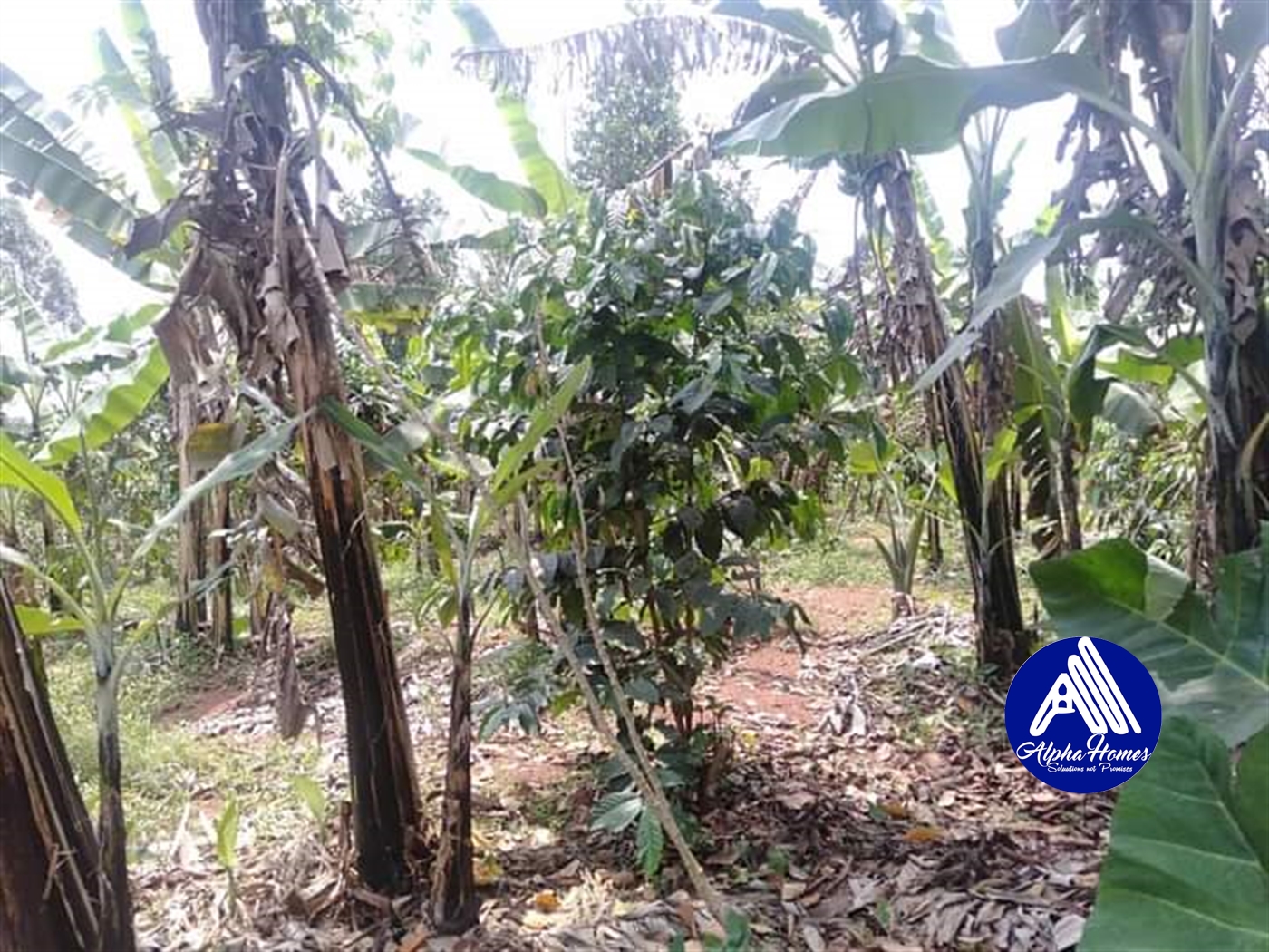 Agricultural Land for sale in Nakawuka Wakiso